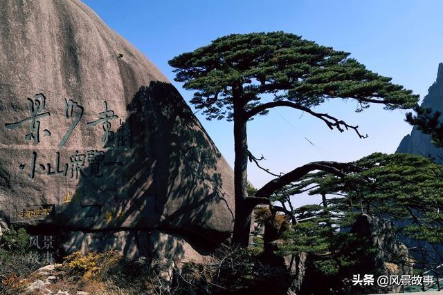2025澳门精准正版免费四不像,全面释义、解释与落实-警惕虚假宣传